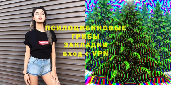 СК Липки