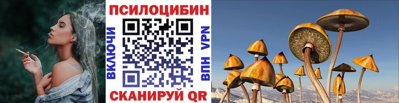 Купить  Стерлитамак  Галлюциногенные грибы мицелий 