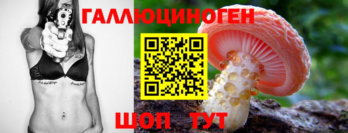 Псилоцибиновые грибы MAGIC MUSHROOMS  Галлюциногенные грибы Psilocybe  Стерлитамак 